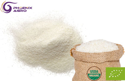 Organic Rice Protein