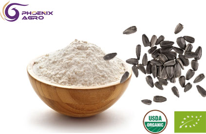 Organic Sunflower Seed Protein