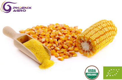 Organic Corn Gluten Meal