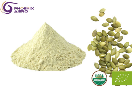 Organic Pumpkin Seed Protein