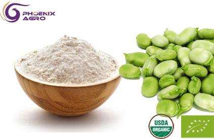 Organic Broad/Fava Bean Protein