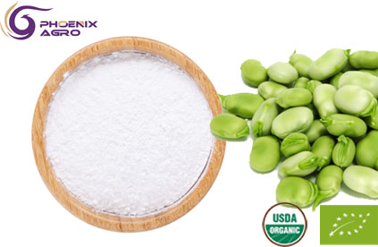 Organic Broad Bean Starch