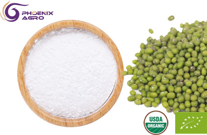 Organic Mung Bean Starchn