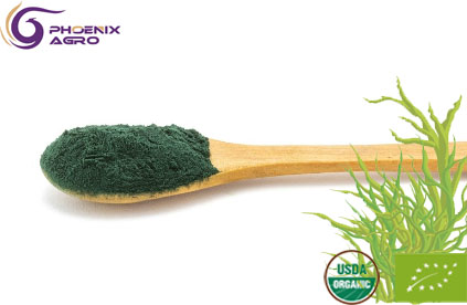 Organic Spirulina Powder