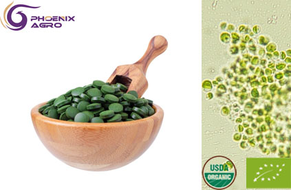 Organic Chlorella Tablet