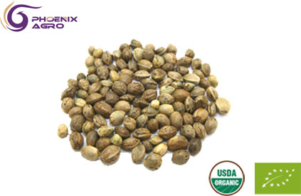 Organic Hemp Seed