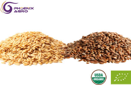 Organic Flax seed