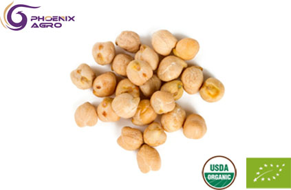 Organic Chickpea