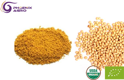 Organic Soybean Powder Lecithin