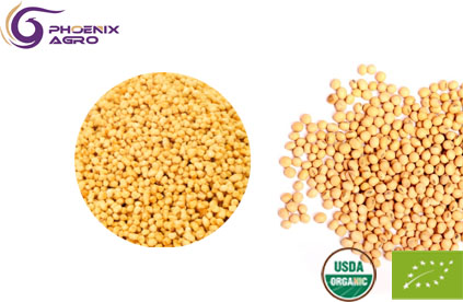 Organic Soybean Lecithin Granules