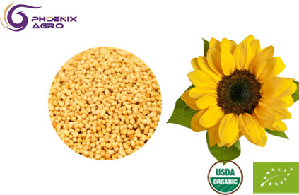 Organic Sunflower Lecithin Granules