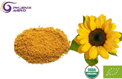 Organic Sunflower Powder Lecithin