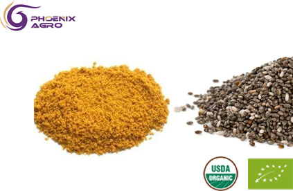 Organic Rapeseed Powder Lecithin