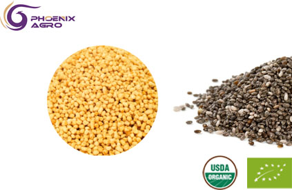 Organic Rapeseed Lecithin Granules