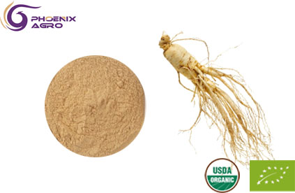 Organic Ginseng Extract Powder