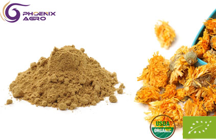 Organic Chrysanthemum Extract Powder