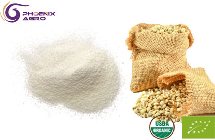 Organic Coixseed Extract Powder