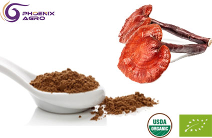 Organic Ganoderma Lucidum Extract Powder