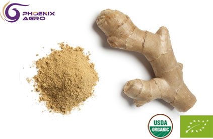 Organic Ginger Extract Powder