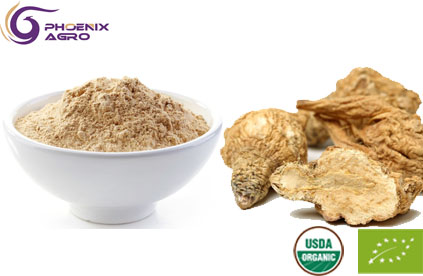 Organic Maca Extract Powder