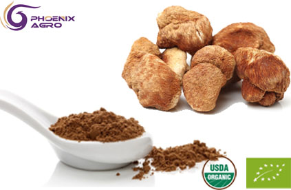 Organic Lion's Mane Extract Powder