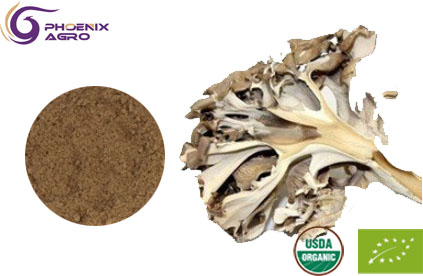 Organic Maitake Extract