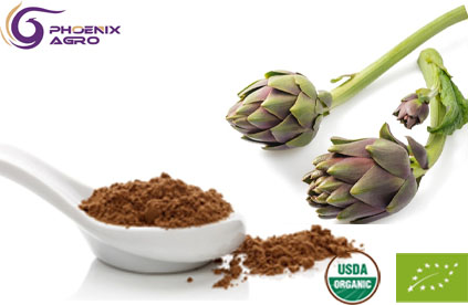 Organic Artichole Extract Powder